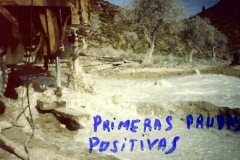 05 Primeras Pruebas 2