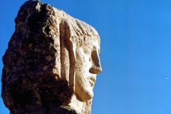 Dama de Sierra Oliva