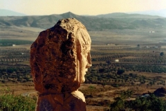 Estatua Dama Olivos