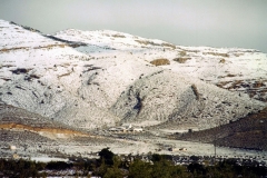 Paisaje nevado